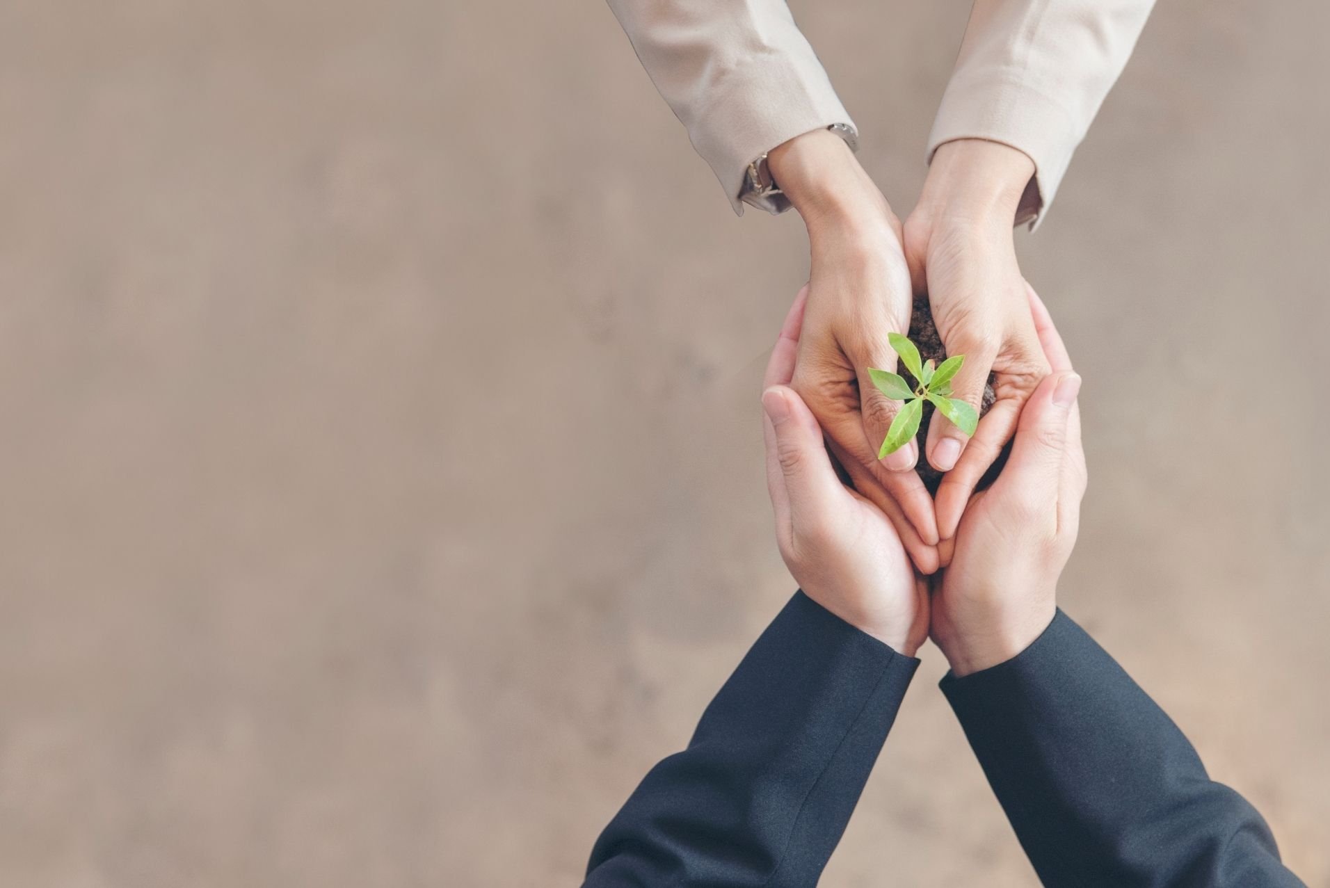 competenze-green-piu-richieste-in-futuro